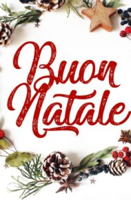 logo natale