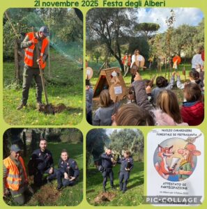 giornata nazionale dell albero collage fotografico